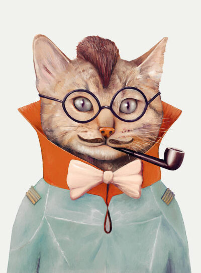 eclectic-cat-animal-crew