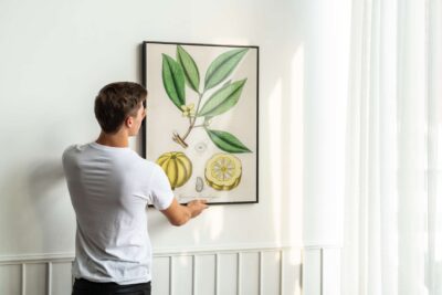 Garcinia cambogia