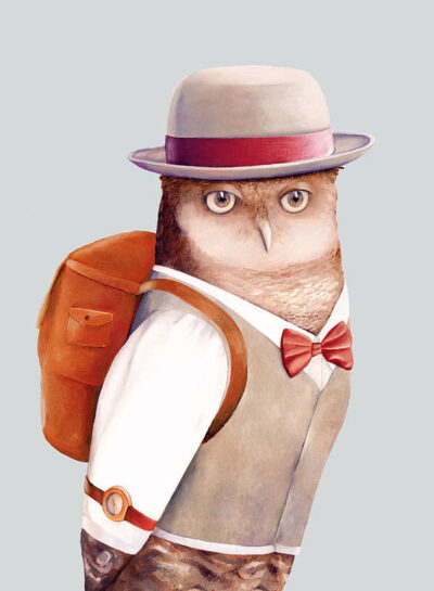 travelling-owl-animal-crew