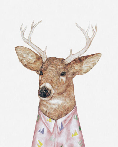white-tailed-deer-animal-crew