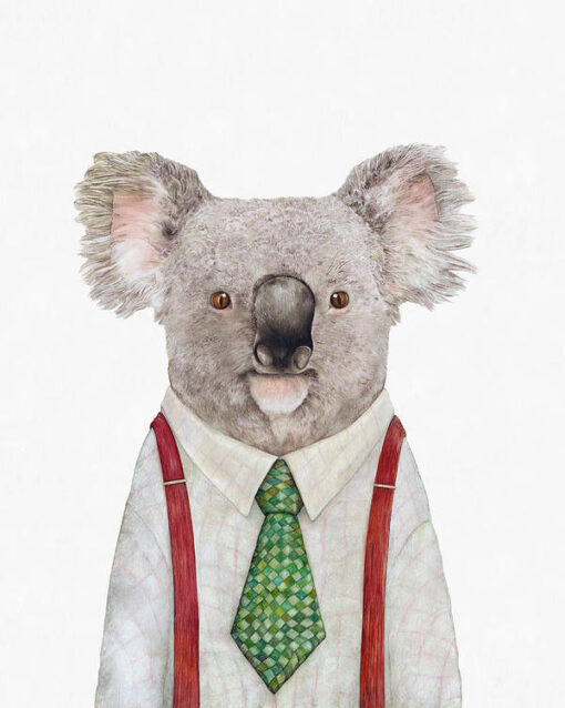 koala-animal-crew